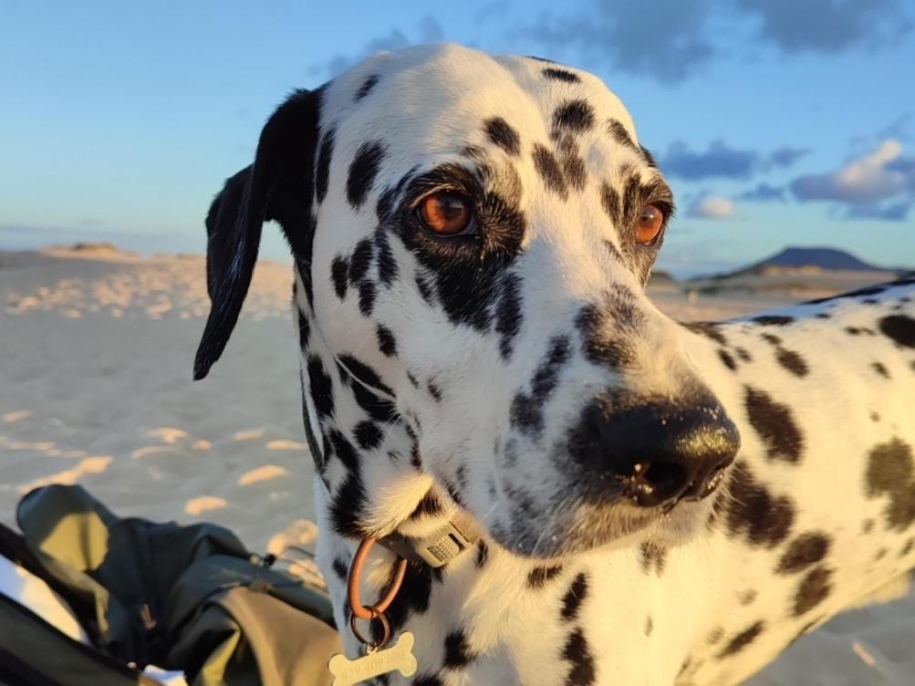 Fuerteventura Casa Tikuna La Oliva Dış mekan fotoğraf